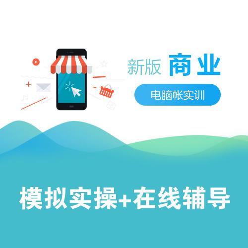 學會計必學實操 掌握審計與稅務服務的核心技能